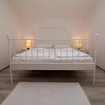App Petra *